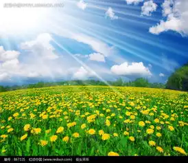 阳光照射下的黄色花园图片免费下载红动网
