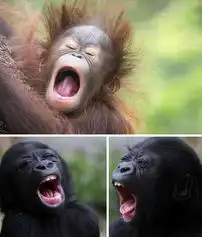 柯震东微博示爱萧亚轩会成为值得你爱的人
