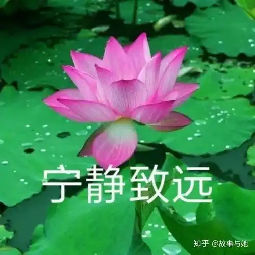 适合给父母的头像
