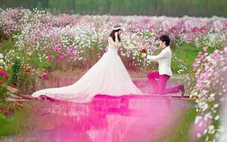 小金喜善白冰婚照曝光老公为新锐男模
