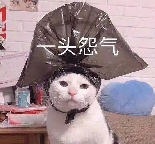 少年,姑娘的表现说明了一切
