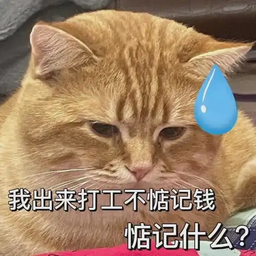 他怎么疯成这样了
