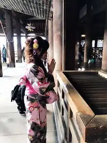 关西大阪京都宇治奈良冬季7日自由行主京都

