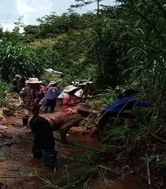 景哈乡发挥老年人作用助推美丽乡村建设
