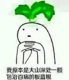 我本是系列之板蓝根
