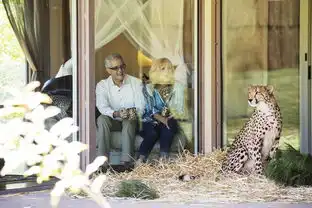 你敢住世上最兽性的酒店么
