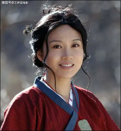 玩命三日爱情的样子,就是张嘉译和闫妮
