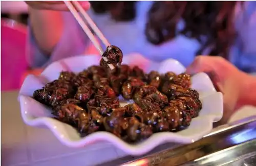 300亿只知了猴,在美国泛滥成灾,在我国卖2元一只,还抢着要
