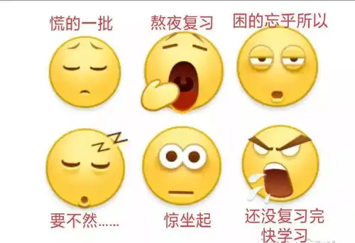 哈哈,原来你是这样的期末emoji
