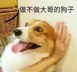 做不做大哥的狗子有什么含义
