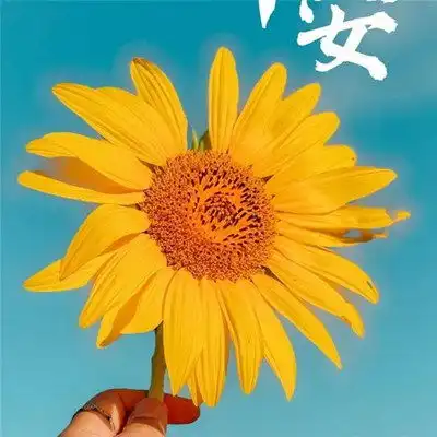 2023超火早安图片大全高清头像
