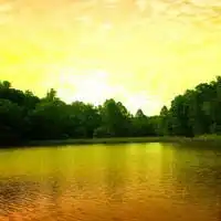 微笑头像女阳光美景图微信头像图片大全
