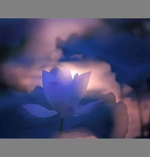 荷塘月色满池清韵映无尘
