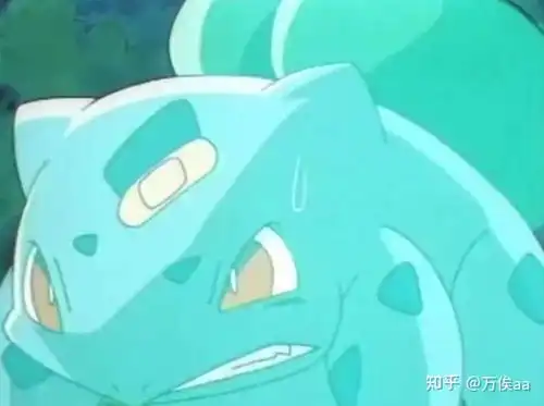 为什么小智不让杰尼龟和妙蛙种子进化
