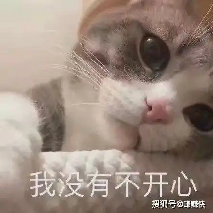 猫咪表情包不开心,我太难了,熬夜满眼都是你
