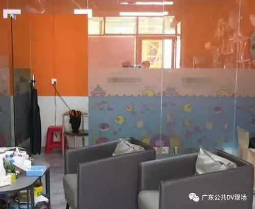 女孩宠物店推门夹死小猫店长发声说了什么
