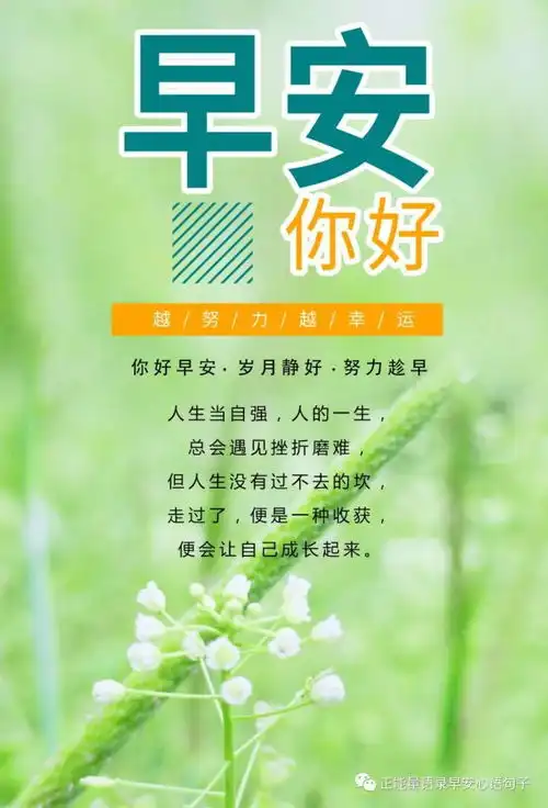 1月15日早安心语一眼就心动的早安朋友圈文案,满满正能量的早安句子
