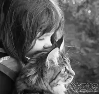 东西铺子5岁的自闭症小女孩,与猫咪温馨的友谊
