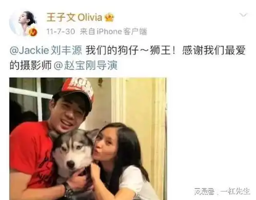 王子文生子实锤王朔贾乃亮都有嫌疑,孩子的父亲到底是谁
