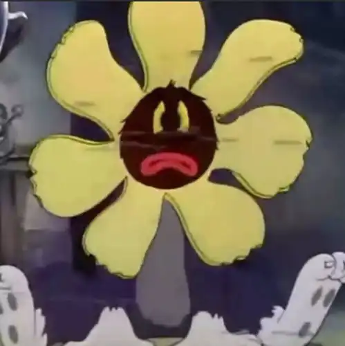 兼职要交钱这样正常吗
