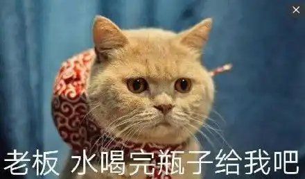 热表情包下载天气热表情包热死了表情包
