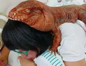 那些给孩子养狼养熊养蛇的家庭,后来都怎么样了
