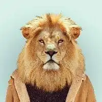 狮子座头像男生性格图片微信头像图片大全
