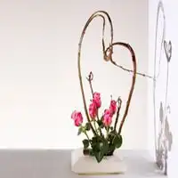 微信头像工艺品插花微信头像图片大全
