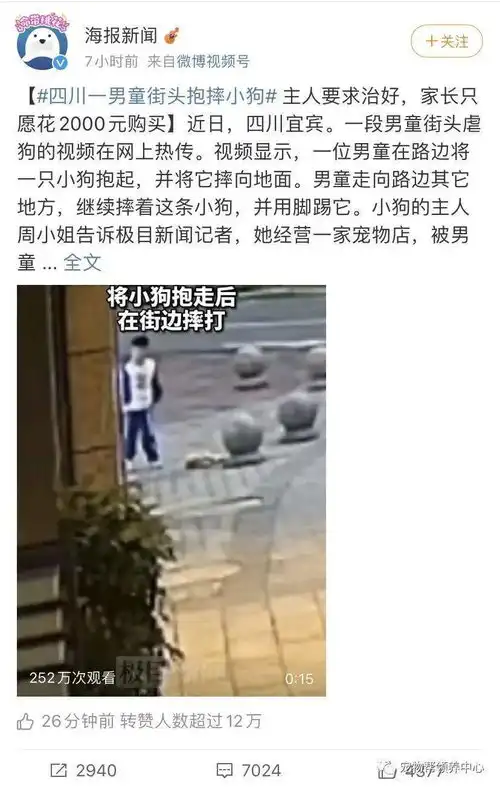 8岁男孩宠物店偷奶狗后抱摔踢打虐待,他父母说他还是个孩子,狗先咬的他...
