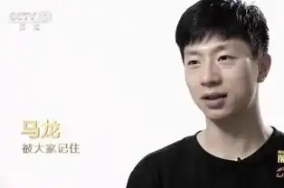 傅园慧说脱口秀看过这视频的人是笑了还是哭了
