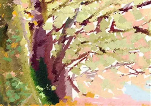 属龙巨蟹座女生性格特点
