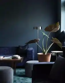 零售巨头的无穷创意或许来自他们的办公空间
