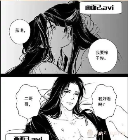 魔道祖师自从蓝湛和魏婴成亲之后,蓝曦臣读弟机功能就升级了
