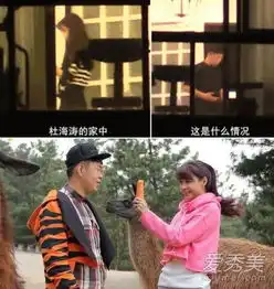 又没拉窗帘杜海涛沈梦辰恋情大起底
