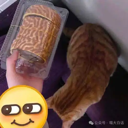 男票拿亲姐照片当头像和手机壁纸哈哈哈哈哈现在的人都玩这么花吗
