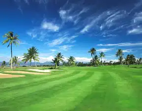 轻井泽王子酒店的霸主之路
