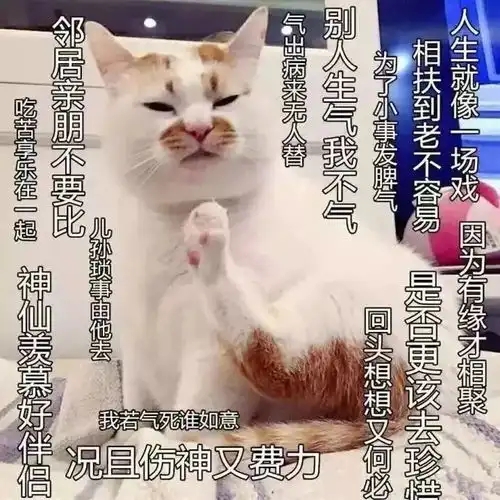 啪秘圣诞节最想要的礼物,是
