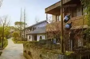 乡村规划设计丨乌镇建了一个农业综合体乌村,多家民宿抱团,年接待量超800万人次
