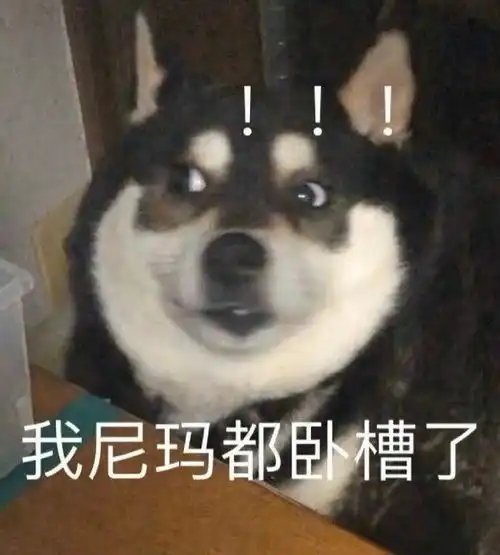 能不能分享一下你们喜欢的表情包
