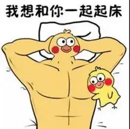 表情包,抖音七彩小黄鸭全套表情包哪里有
