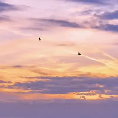 唯美黄昏风景背景图我的耐心和微信头像我要个性网
