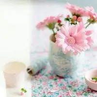 好看的微信头像图片花清新好看的花
