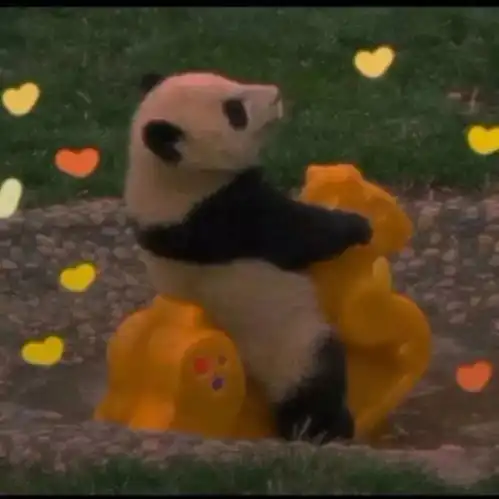头像要保持良好的心态
