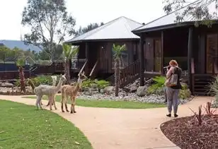 狮子盯着你吃饭,黑熊围观你洗澡如何与动物和谐相处,这里有不一样的答案
