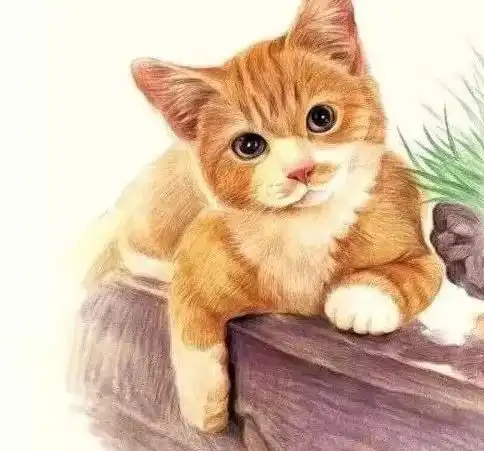 大自然是最好的老师,也是艺术家们创作的源泉花之绘
