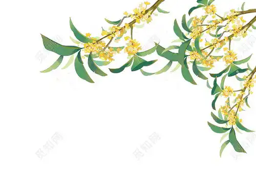 彩色手绘卡通小清新古风桂花花枝中秋节元素png素材中秋2022最新素材免扣源文件
