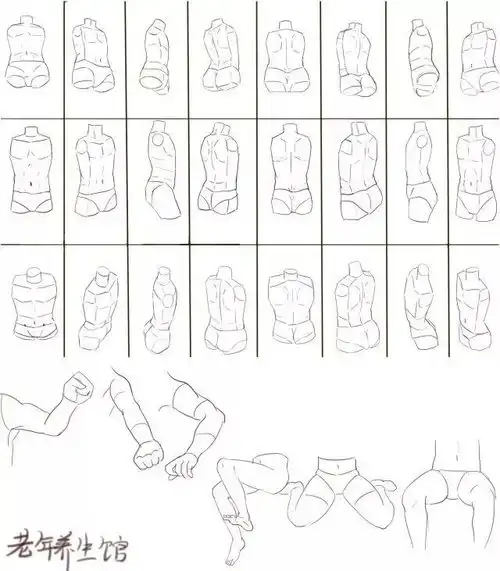 动漫人体结构画法
