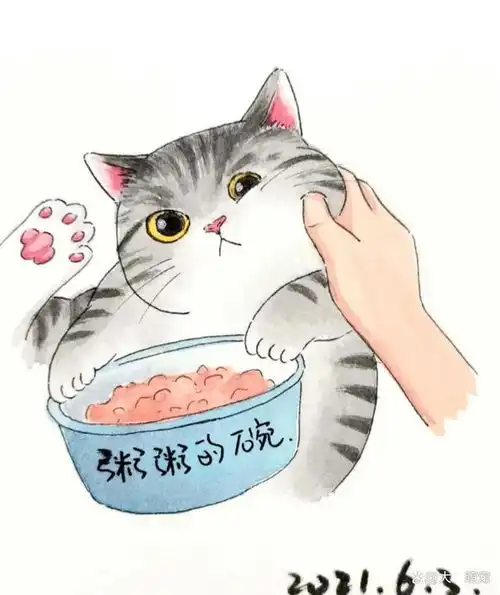超级治愈猫咪漫画二猫咪的每一天都很有趣,除了睡觉还有干饭
