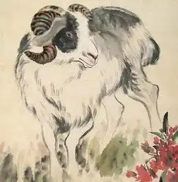 2017年上半年运气超级好的生肖是说你的么
