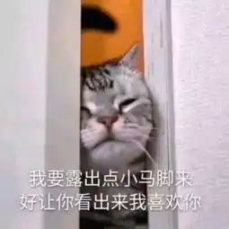 白羊座女生和天秤座男生在一起合适吗
